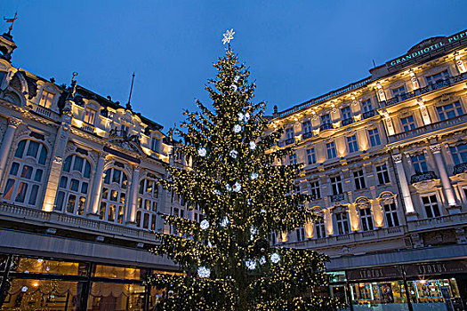 圣诞树,正面,酒店,卡罗维瓦里,地区,捷克共和国,欧洲