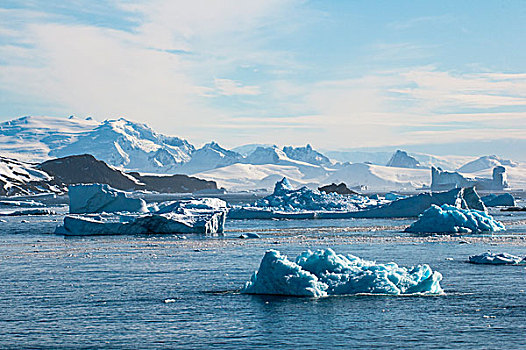 冰河,冰山,小湾,半岛,南极