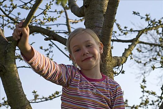 女孩,6岁,攀爬,樱桃树