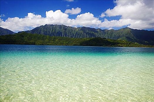 夏威夷,瓦胡岛,卡内奥赫湾,向风,海岸,风景,沙洲