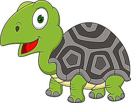 龟,卡通
