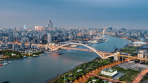 上海,大桥,风光