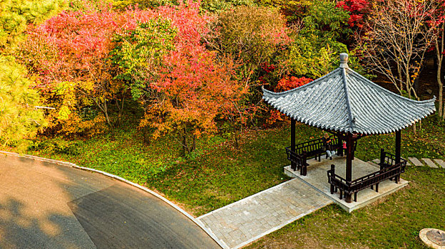 中国长春南湖公园秋季红叶风景