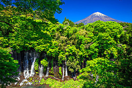 瀑布,新,绿色,山,富士山