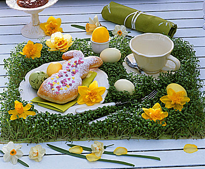 水芹,餐垫,水仙花,复活节彩蛋,烘制,复活节兔子