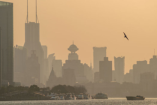 上海日落城市天际线