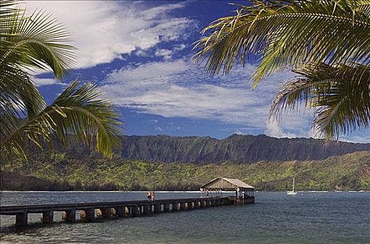 夏威夷,考艾岛,湾,伴侣,码头,帆船,锚定