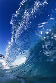 夏威夷,瓦胡岛,北岸,室内,蓝色,卷曲,波浪
