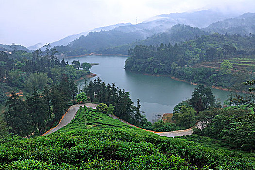 佛山市三水区大南山