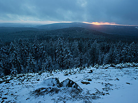冬日树林,日落,哈尔茨山,下萨克森,德国
