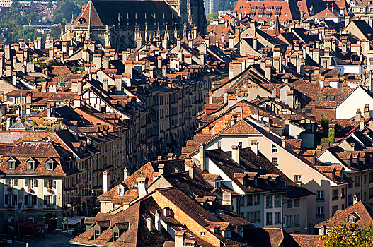 俯视,屋顶,房子,历史,镇中心,伯恩,瑞士,欧洲