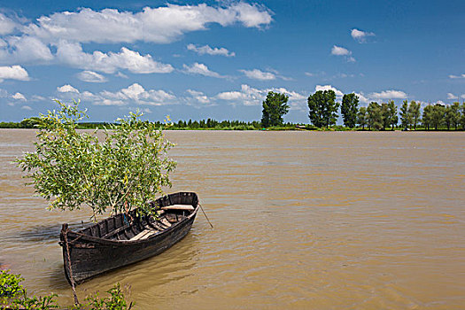 罗马尼亚,多瑙河,三角洲,船