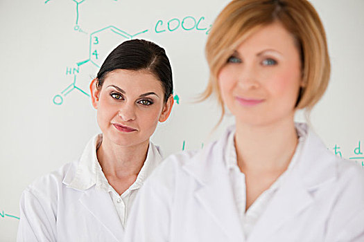 两个,魅力,科学家,女人,正面,白色书写板