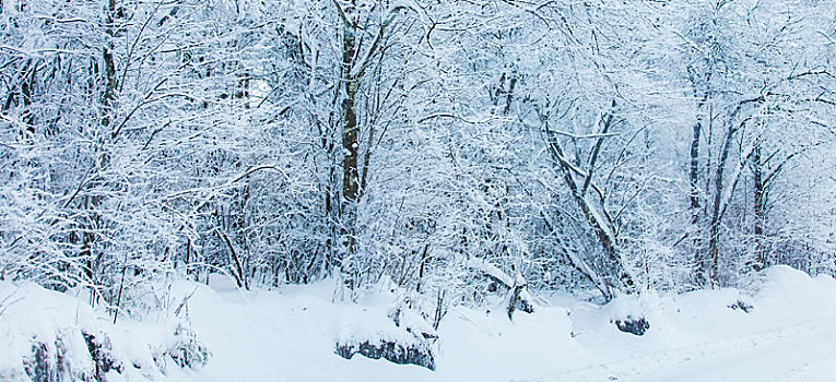 西岭雪山大雪的美丽风景