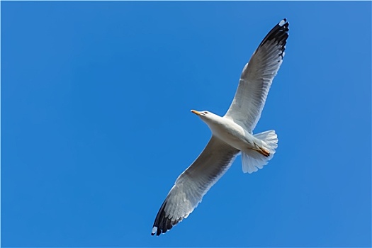 天空