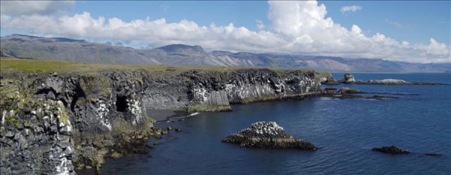 海岸,玄武岩,半岛,冰岛