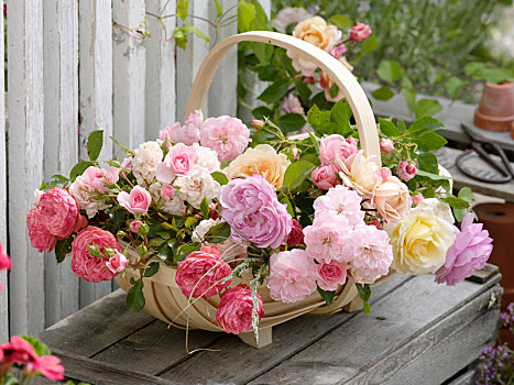 篮子,清新,切削,粉色,玫瑰,花园