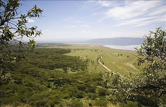 风景,纳库鲁湖,纳库鲁湖国家公园,肯尼亚,俯拍