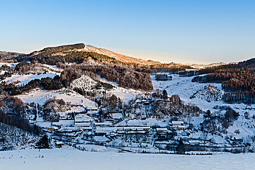 雪地,树林,村庄,雪村