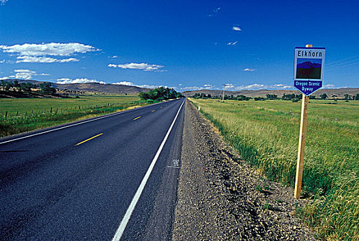 道路,通过,风景,驾驶,山谷,国家森林,俄勒冈,美国