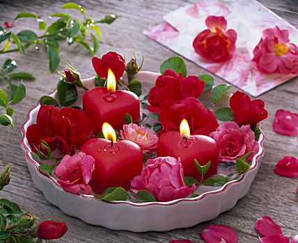 粉色,玫瑰,心形,蜡烛,饼铮