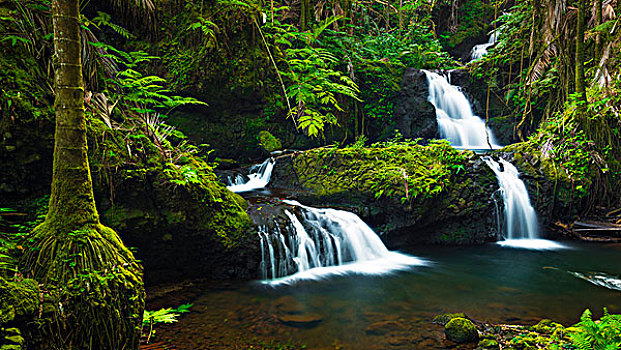 瀑布,夏威夷热带植物园,哈玛库亚海岸,夏威夷大岛,夏威夷,美国