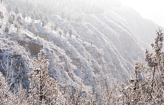 雪景