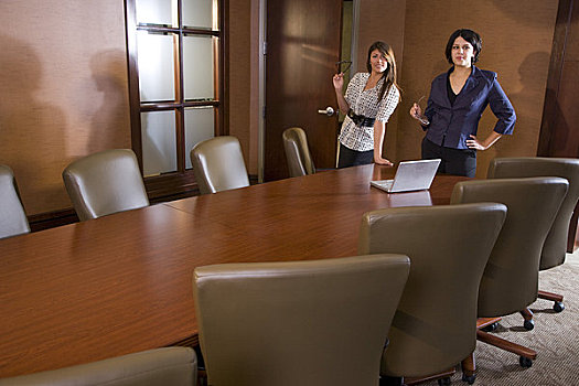 两个,职业女性,站立,会议室