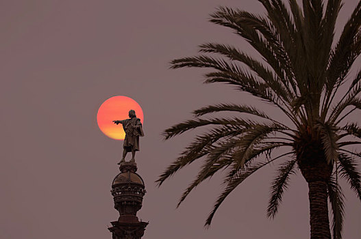 棕榈树,雕塑,男像,方形底座,满月,后面,黎明