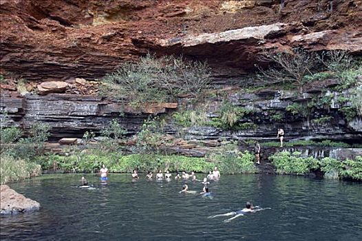游客,游泳,峡谷,卡瑞吉尼国家公园,区域,西澳大利亚