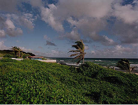 海滨别墅,风景,巴巴多斯