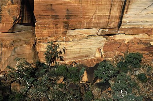砂岩,悬崖,国家公园,北领地州,澳大利亚