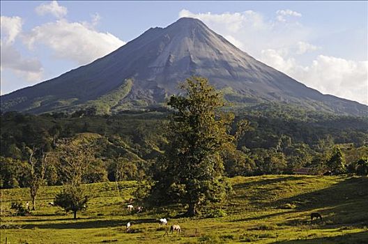 阿雷纳尔,火山,哥斯达黎加,中美洲