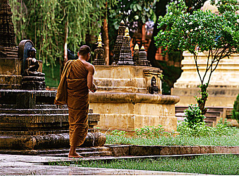 僧侣,佛教寺庙,印度