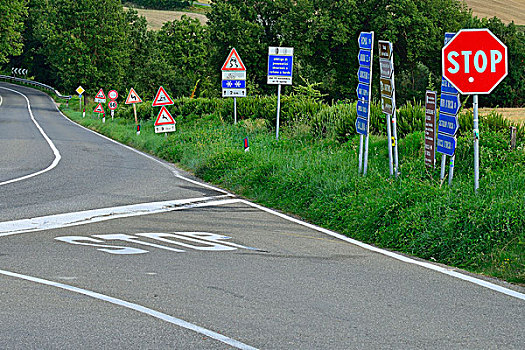 树林,交通标志,交叉,锡耶纳省,托斯卡纳,意大利,欧洲