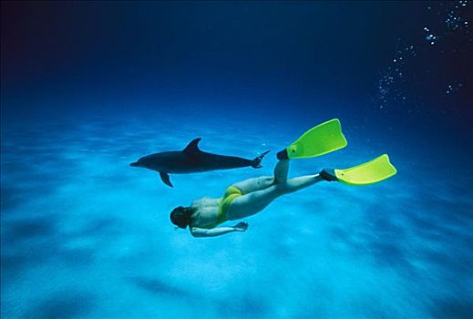 加勒比海,巴哈马,斑海豚,斑原海豚,水下呼吸管,靠近,沙,仰视