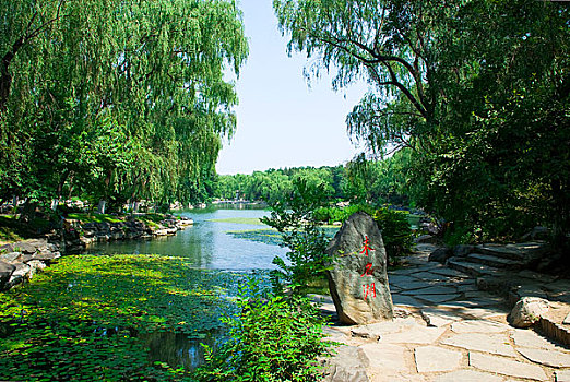 北京大学未名湖湖畔