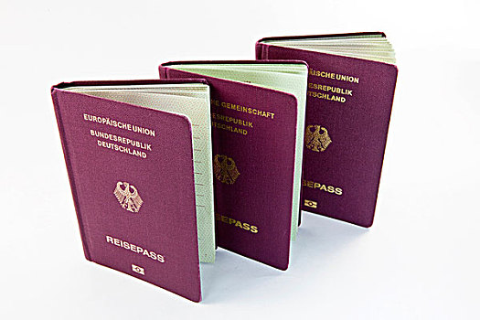 护照,欧洲,联合,联邦,共和国,德国