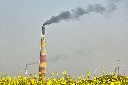 烟囱,排放,黑烟,达卡,孟加拉,一月,2007年