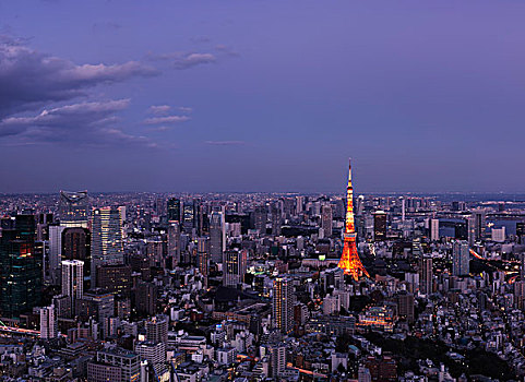 东京塔,城市,黄昏,东京,日本,亚洲