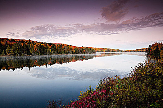 黎明,花絮,树林,叶子,糖枫,红色,湖,阿尔冈金省立公园,安大略省,加拿大