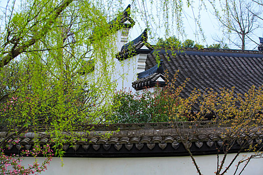 四合院,外景,天空,树木,蓝天