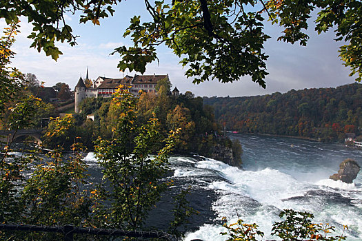 瑞士沙夫豪森近郊的莱茵瀑布