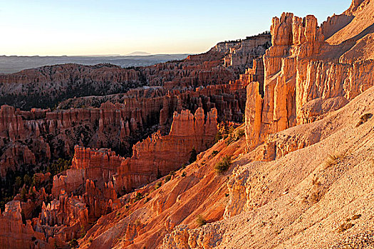 风景,峡谷,色彩,岩石构造,仙人烟囱岩,晨光,布莱斯峡谷国家公园,犹他,美国,北美
