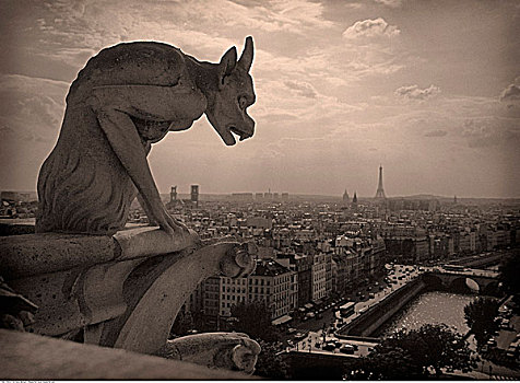 滴水兽,远眺,巴黎,圣母大教堂,法国