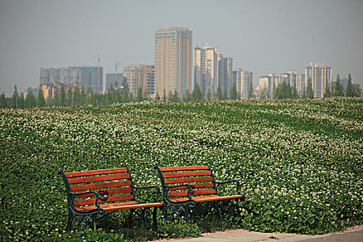 城市绿地