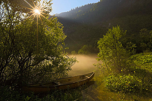 划艇,早晨,雾气,阳光,萨尔茨卡莫古特,奥地利,欧洲
