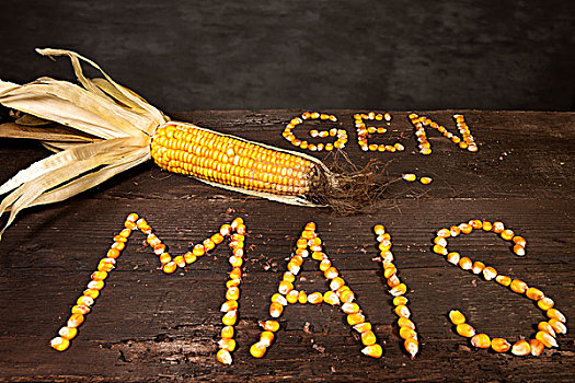 玉米棒,文字,情报,德国,转基因,玉米,谷物