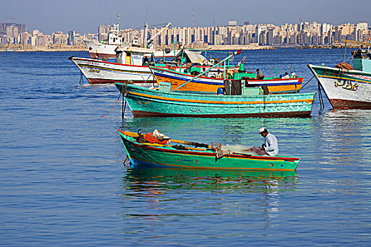 彩色,渔船,港口,亚历山大,埃及