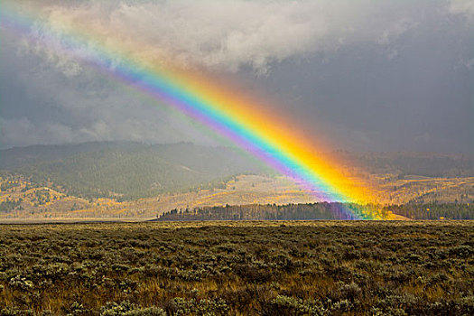 彩虹,冰河,风景,影子,山,大台顿国家公园,怀俄明,美国